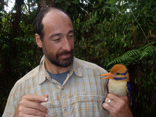 Illustration for article titled First-Ever Photos of the Elusive Moustached Kingfisher
